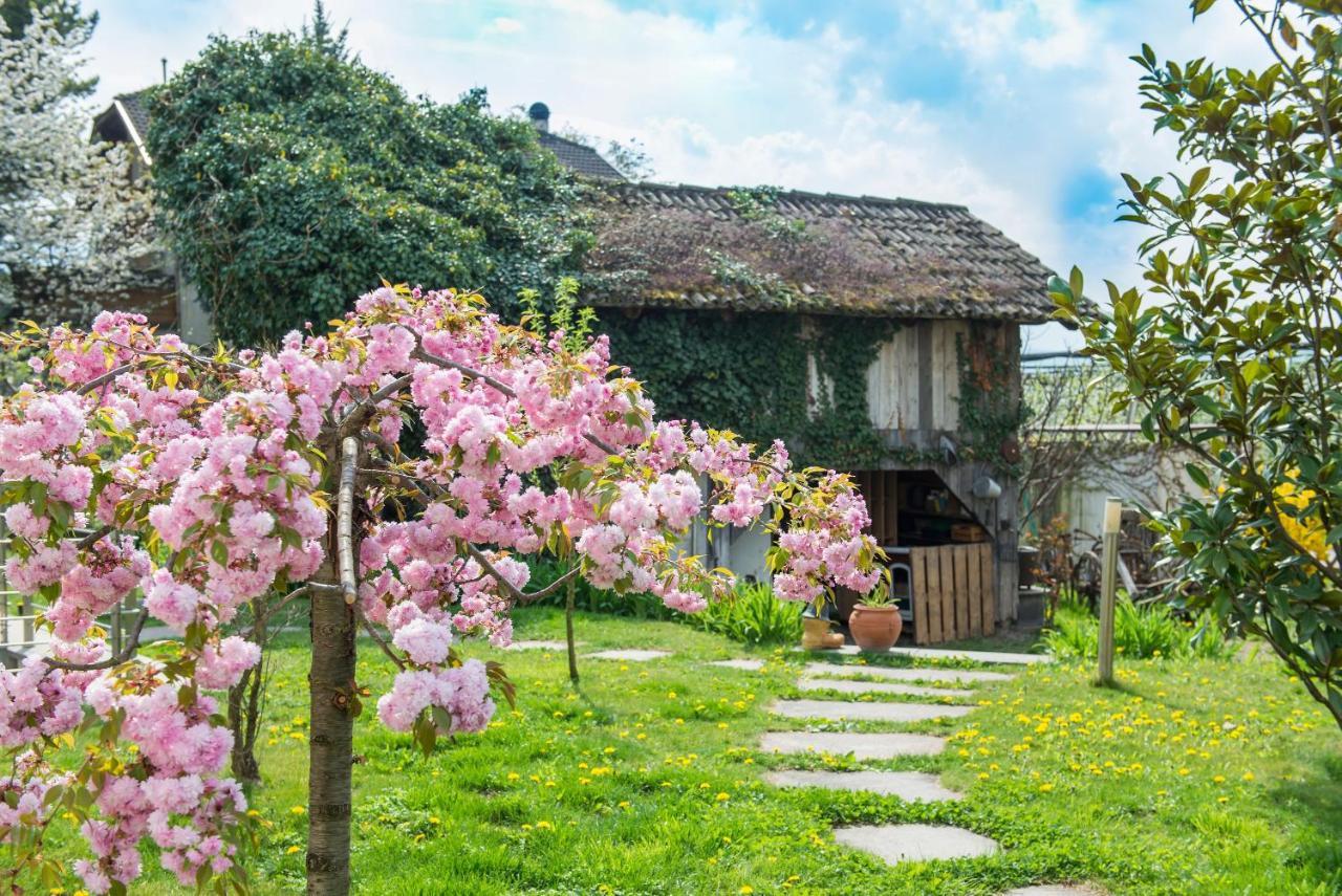 Villa Sonnenschein Terlan Zewnętrze zdjęcie