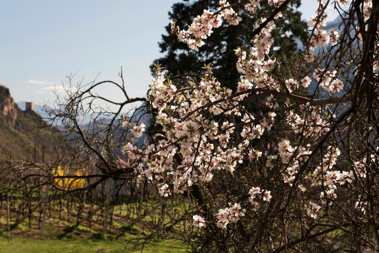 Villa Sonnenschein Terlan Zewnętrze zdjęcie